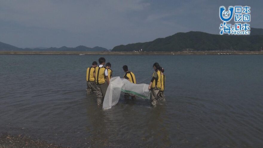 こんなにたくさんの生き物が！！　～小浜で砂浜の生き物調査～