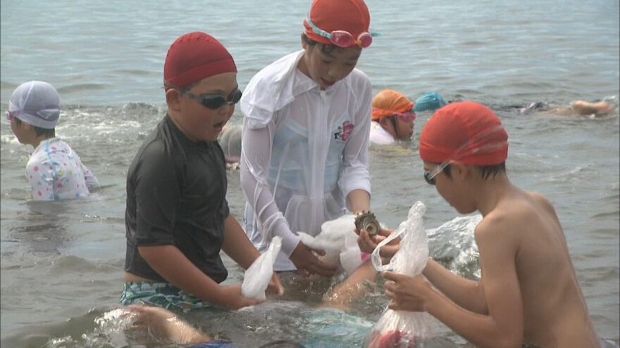 さざえとモモを投げ込む海開き　　～福井市鮎川海水浴場