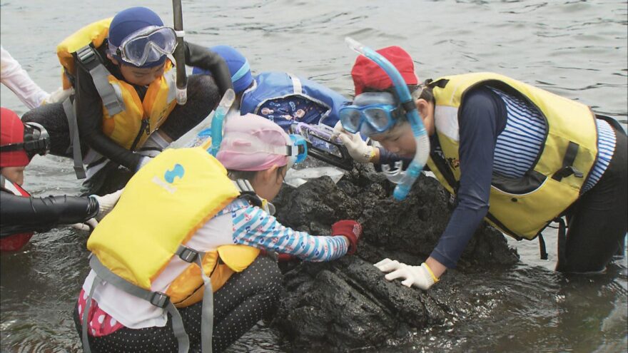 ウニやサザエがいっぱい！！　松島水族館で礒の生物観察会