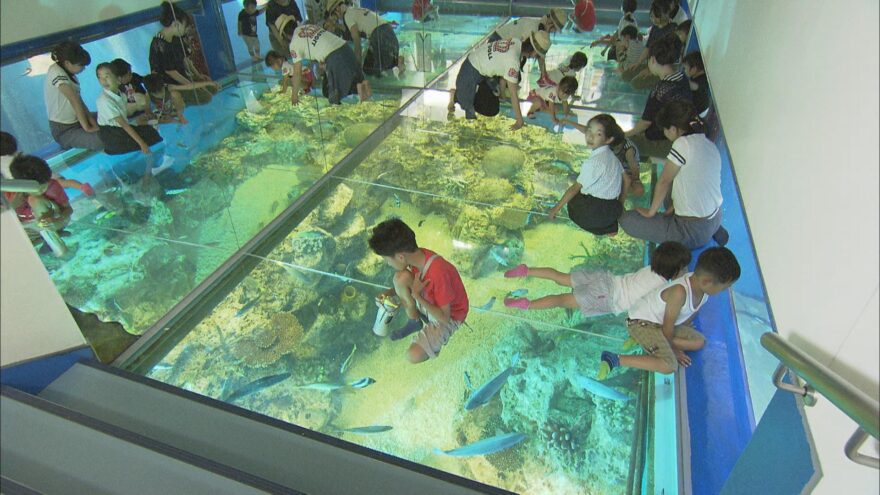 水族館の裏側を見学！　　