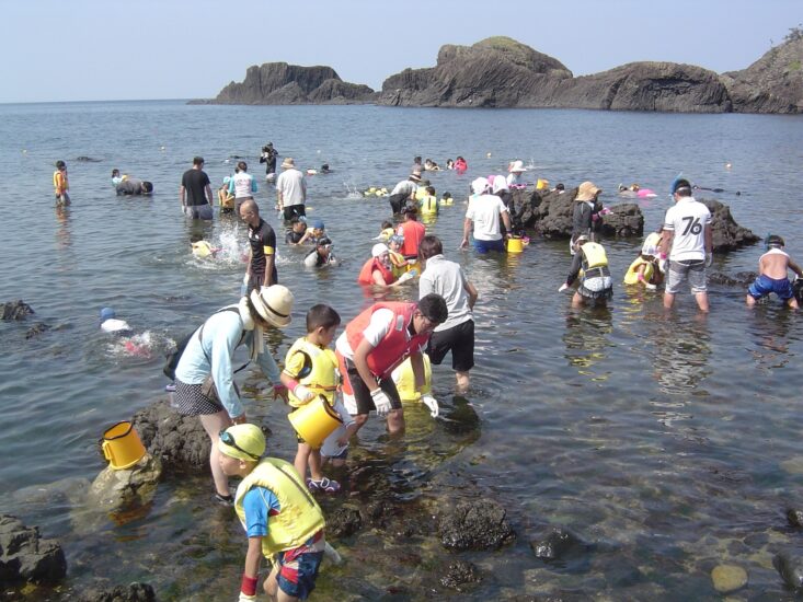 日本海の磯にはどんな生き物がいるのかな？　～松島水族館 磯観察会～