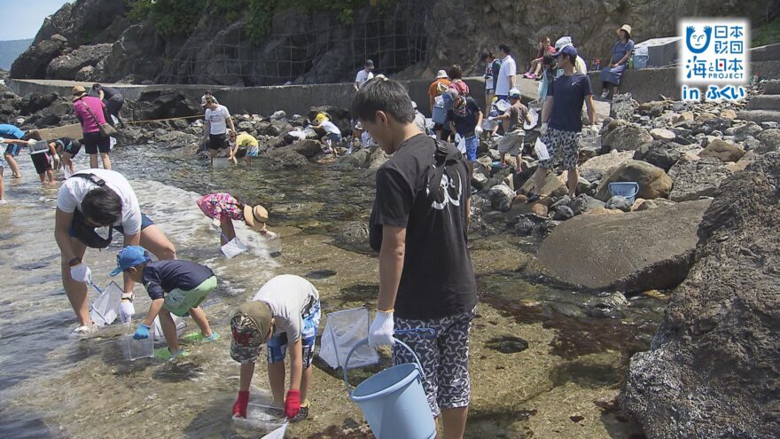 身近な磯で生き物を探そう　　～県海浜自然センター