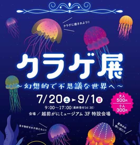 幻想的で不思議な世界！　クラゲ展7月20日から