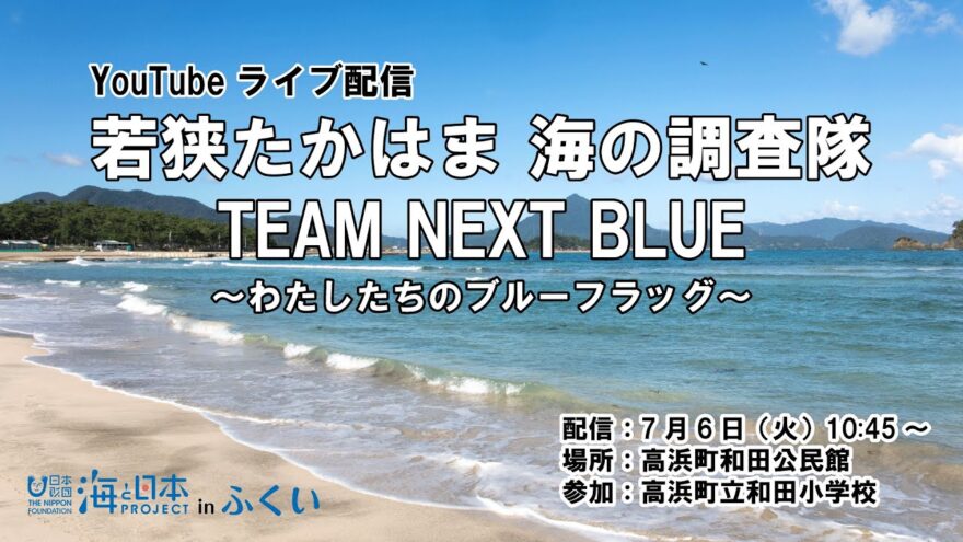 若狭たかはま　海の調査隊～わたしたちのブルーフラッグ～ ライブ配信！