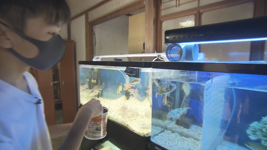 高浜発！海の生き物大好き中学生