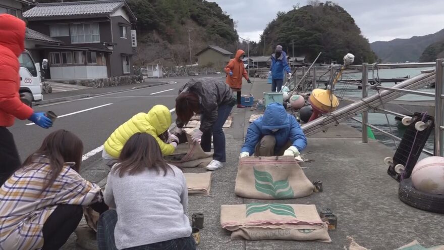 アマモで育む小浜の海