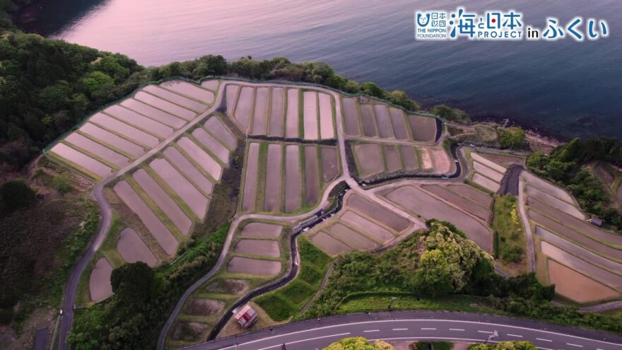 海と田んぼがおりなす絶景！