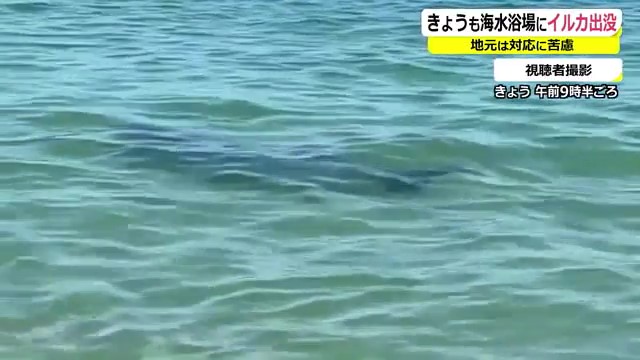 海と日本PROJECT in ふくい
