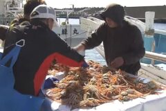 解禁！越前がに漁　初日の出漁は3年ぶり　