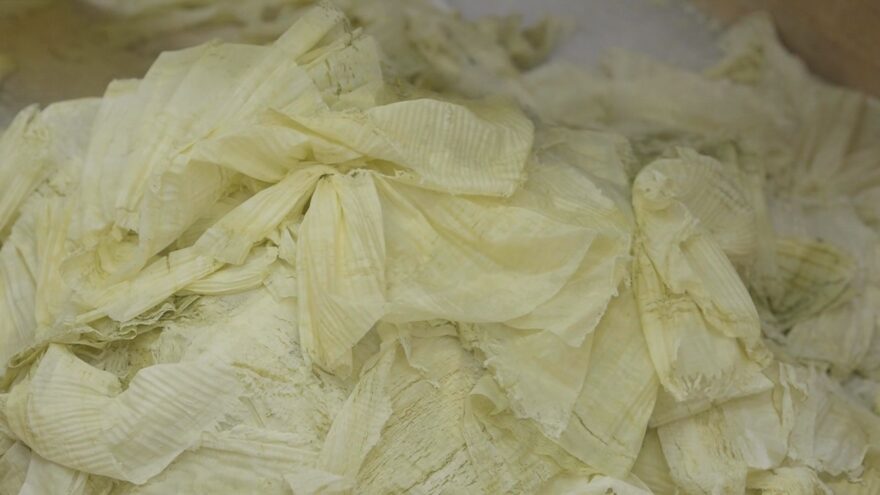 薄さ0.05ミリ　ふわふわの「おぼろ昆布」生産が敦賀で最盛期