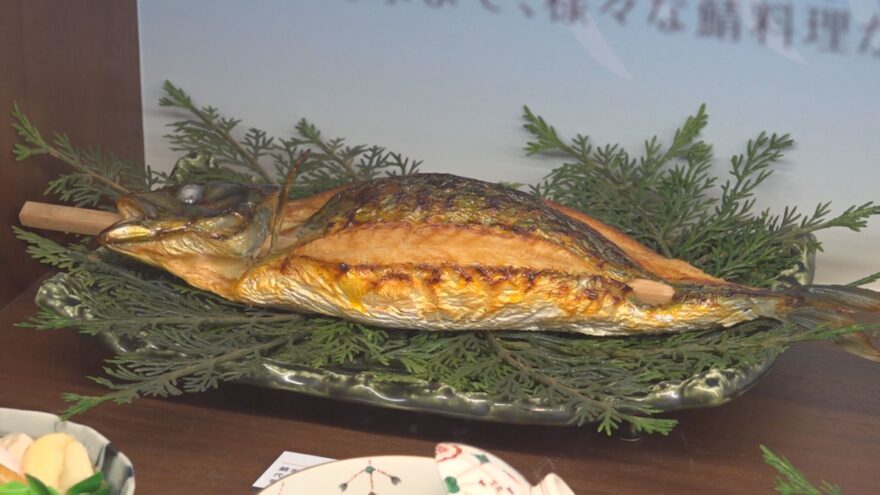 実は「食品サンプル」作りができる…御食国・小浜の食文化伝える注目スポット