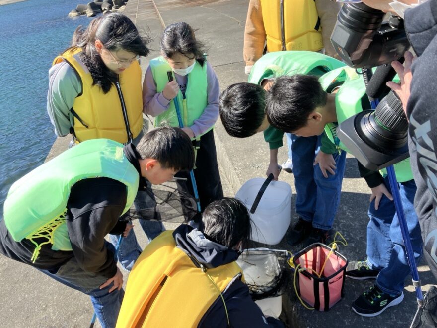 岸壁ガサガサ調査に挑戦！